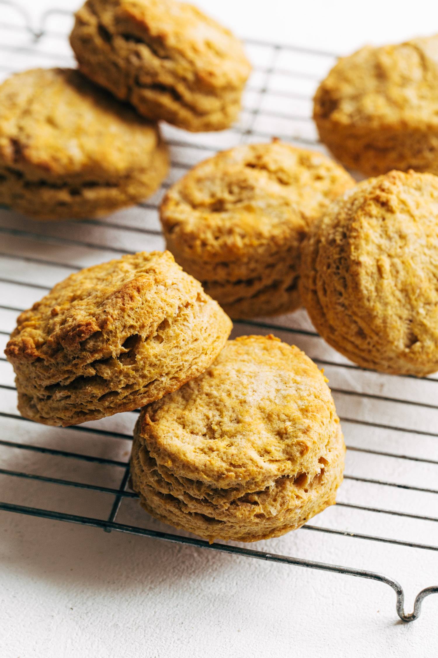 Pumpkin biscuits on a cooling rack.